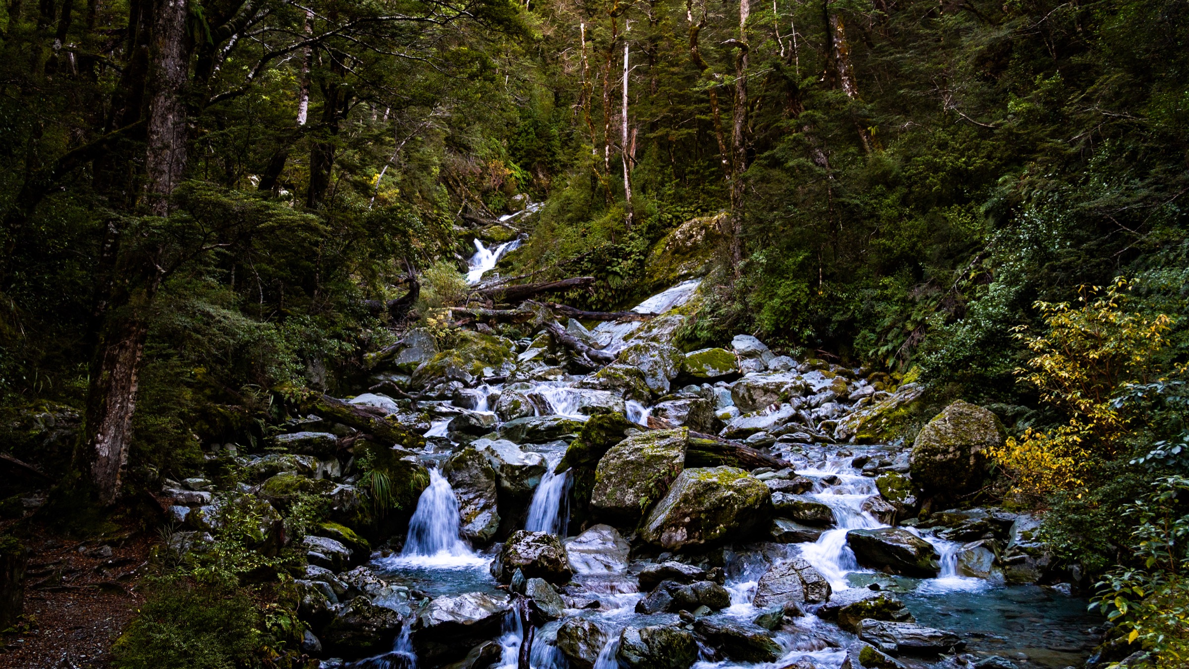 Routeburn track waterfall fine art print by Amalia Remus